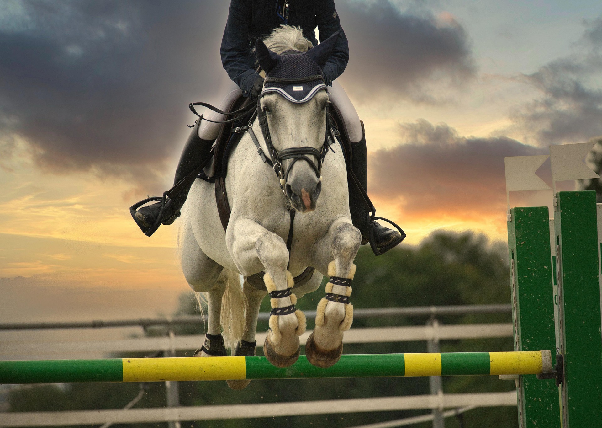 a15007d1-c740-434c-8d89-9850773f1bde-jumping-horse-7401270_1920.jpg