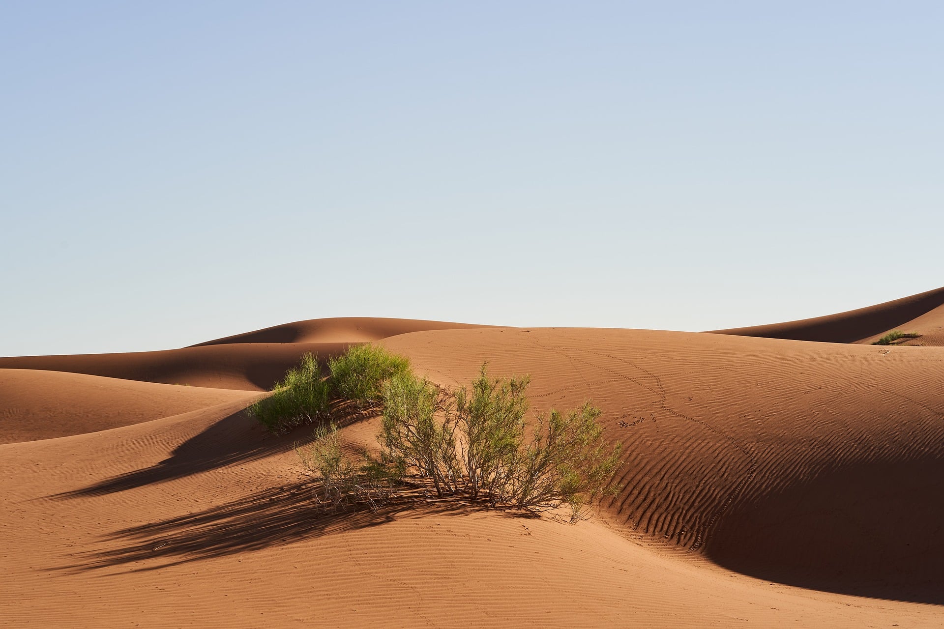 14651790-290a-4f26-a495-9c7749bc6a97-wolfgang_hasselmann-desert-9985132_1920.jpg